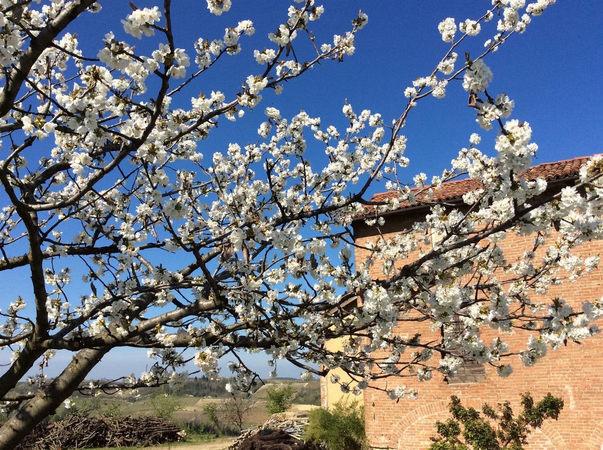 Cascina Valtignosa Camere Con Vigna Cassine Exterior photo